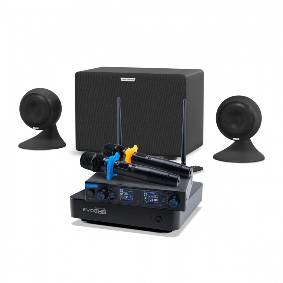 караоке-комплект EVOBOX + EvoSound Sphere 2.1 в Невинномысске