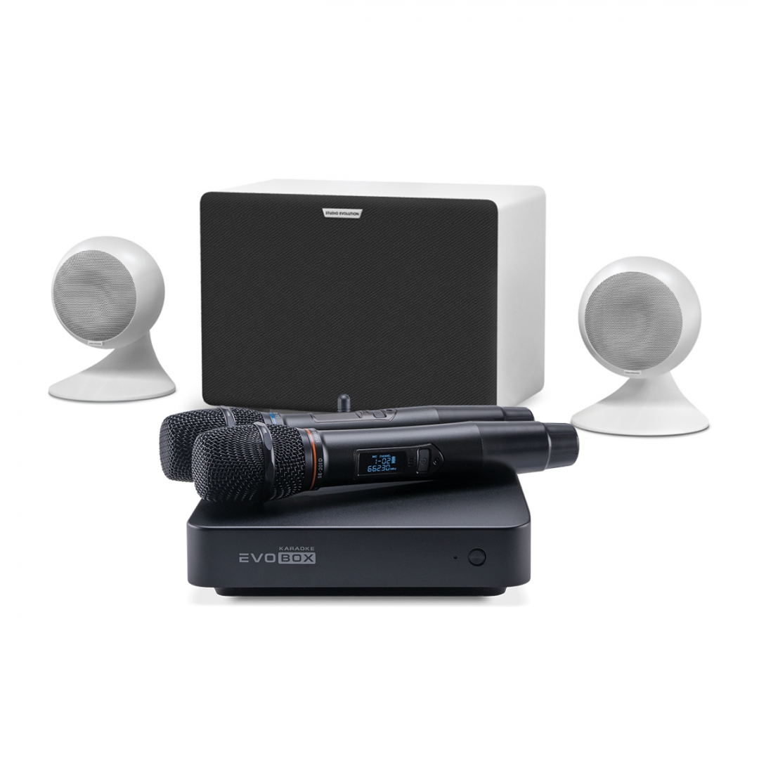 караоке-комплект EVOBOX Classic + EvoSound Sphere 2.1 в Невинномысске