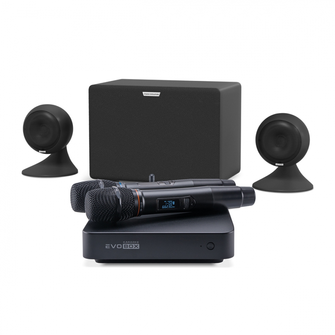 караоке-комплект EVOBOX Plus + EvoSound Sphere 2.1 в Невинномысске