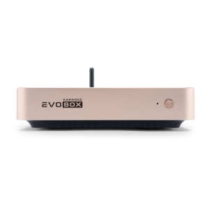 EVOBOX Classic караоке-система для дома в Невинномысске