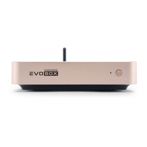 EVOBOX Plus караоке-система для дома в Невинномысске