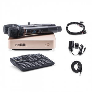 EVOBOX Plus караоке-система для дома в Невинномысске