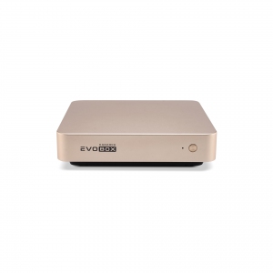 EVOBOX с микрофонами в Невинномысске